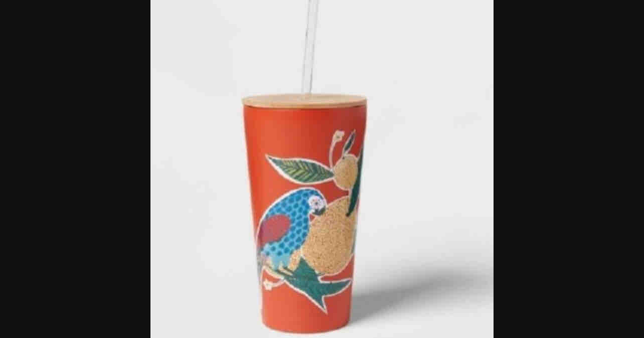 THRESHOLD Stainless Double Wall Vacuum Straw Tumbler Parrot 18.5oz Bamboo Lid