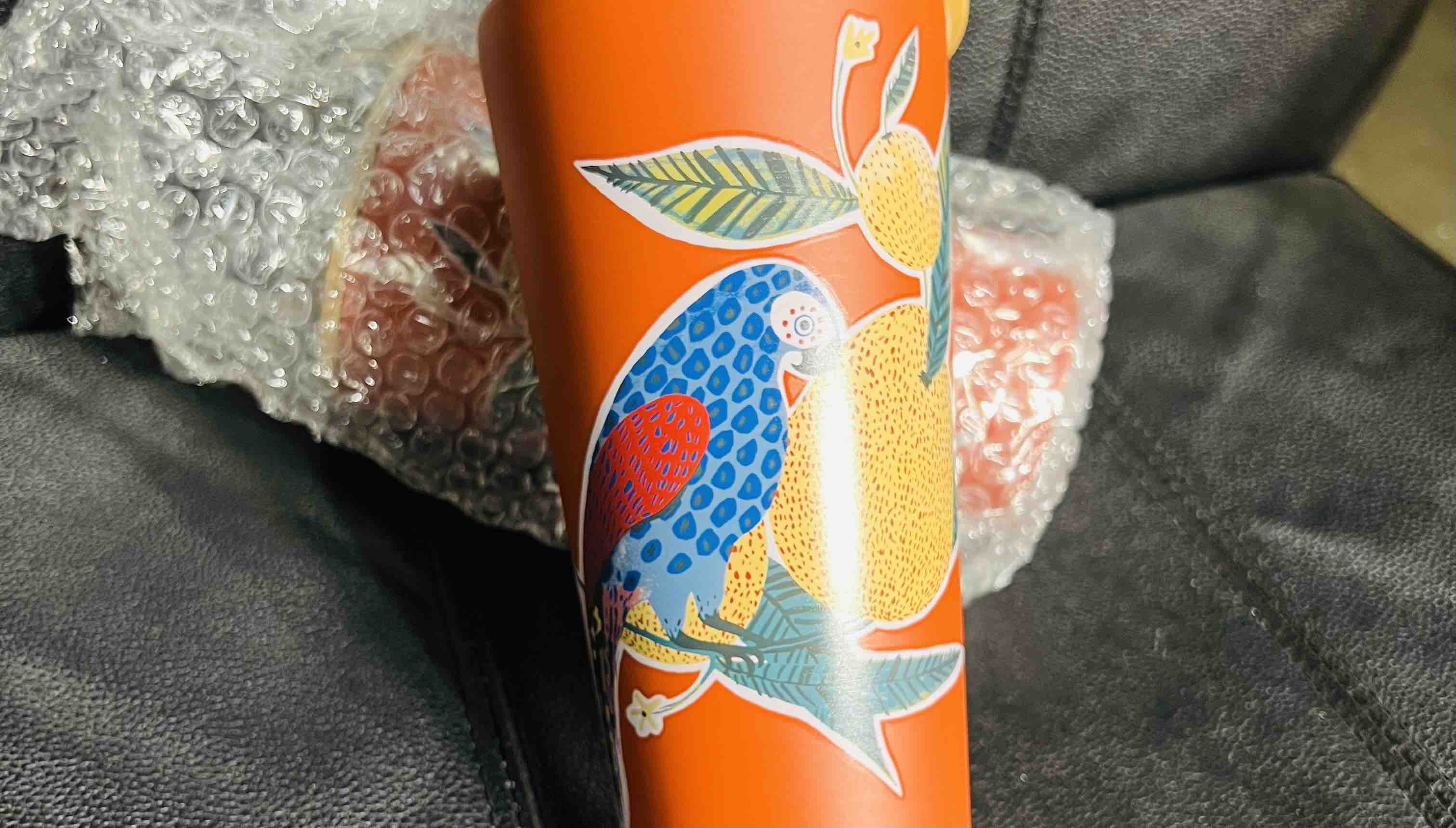 THRESHOLD Stainless Double Wall Vacuum Straw Tumbler Parrot 18.5oz Bamboo Lid