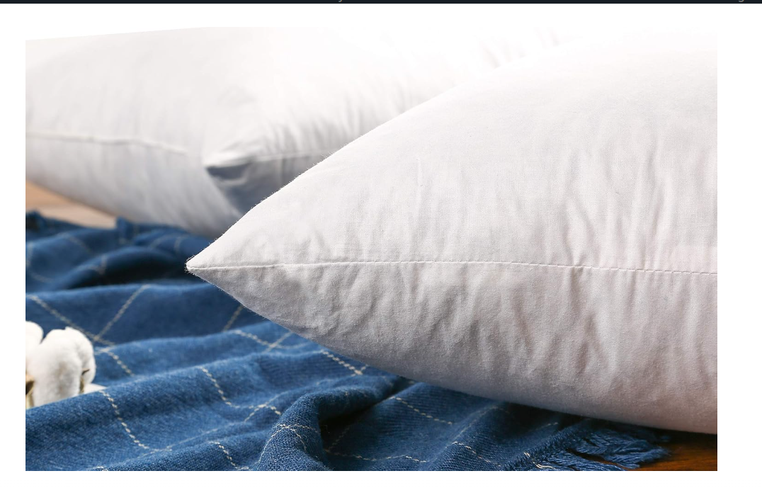 JA COMFORTS 12×20 Premium Goose Down Feather Throw Pillow Inserts(Set of 2)-5% Down Filling, High Filling Weight,250 TC Cotton Cover, Square, White